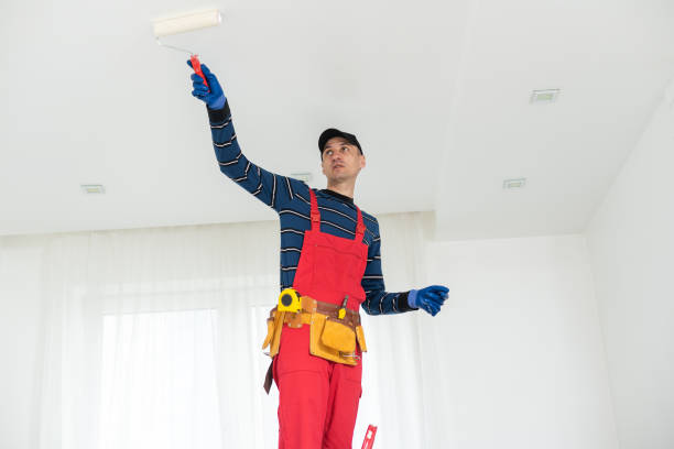 Best Drywall Crack Repair  in Manche Village, CA